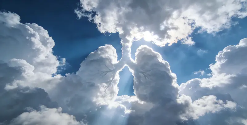 庆阳肺癌靶向39基因检测及PDL122C3表达检测套餐（组织）图片1