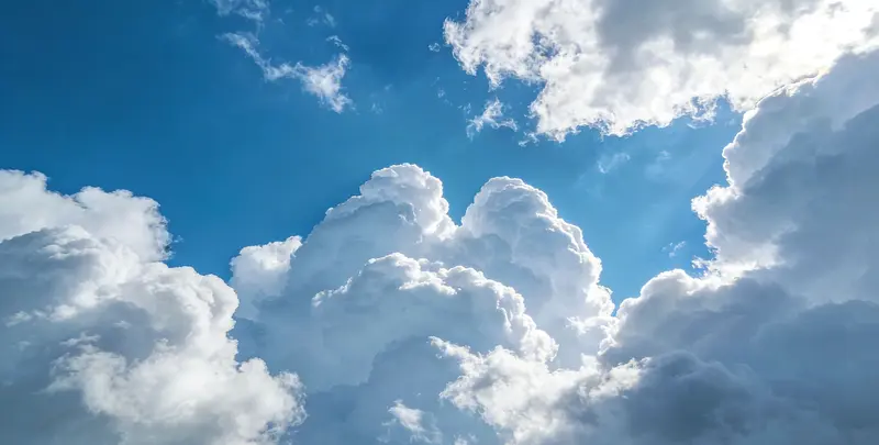 肺癌靶向39基因检测及PDL122C3表达检测套餐（组织）图2