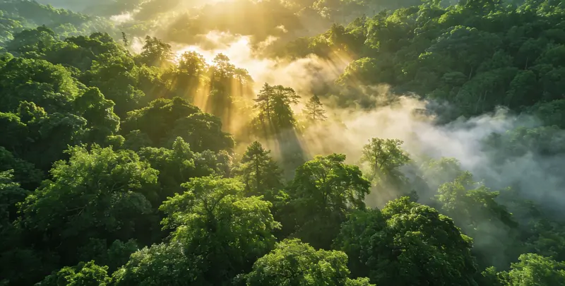 庆阳肺癌172基因检测图片1