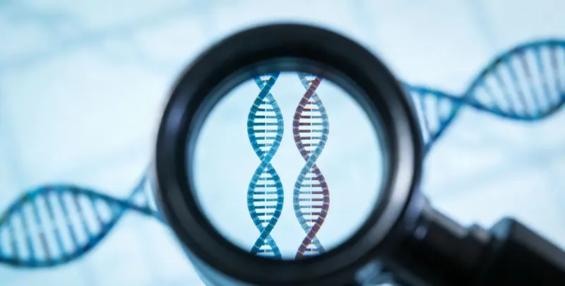 司法亲子鉴定3人图2